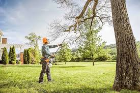Best Utility Line Clearance  in Star Valley, AZ