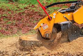 Best Lawn Pest Prevention  in Star Valley, AZ